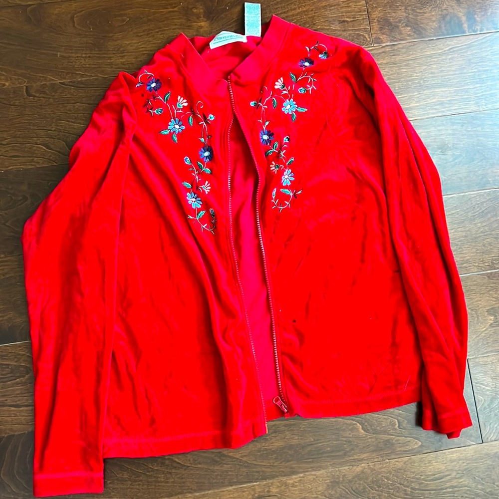 Red velvet sweater with embroidery